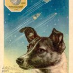 Laika